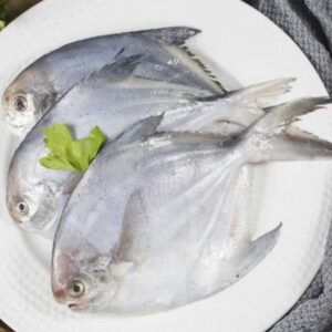 Fish Pomfret