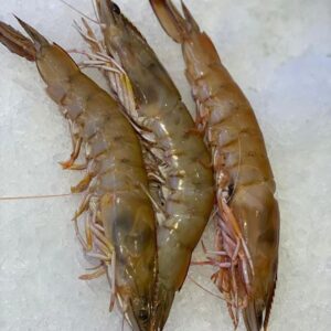 Large Prawns